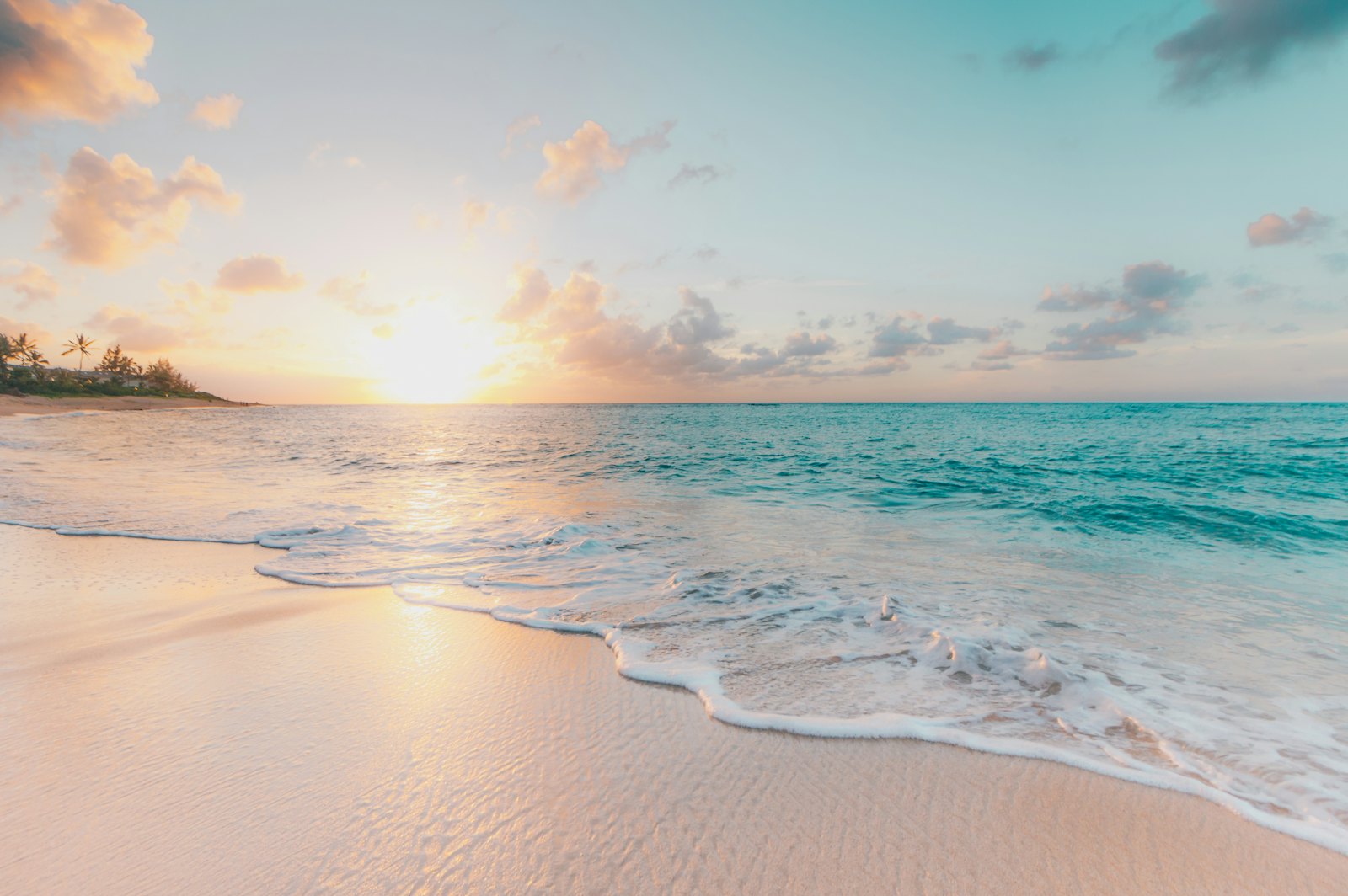 Oceanfront view at golden hour
